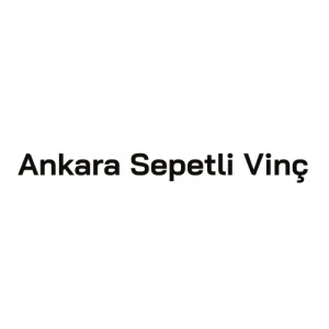 Ankara Sepetli Vinç