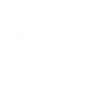 Avukat Ceyhun Güvel